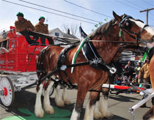 Holyoke Clydesdales